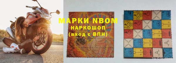 прущие грибы Медвежьегорск