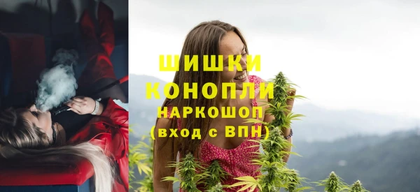 шишки Абинск