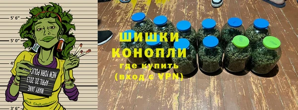 ПСИЛОЦИБИНОВЫЕ ГРИБЫ Абаза