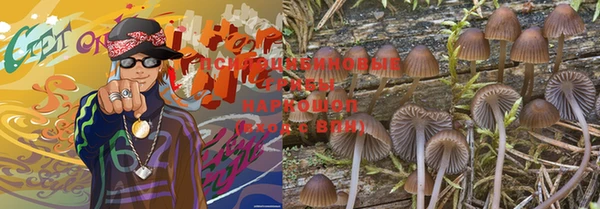 ПСИЛОЦИБИНОВЫЕ ГРИБЫ Абаза