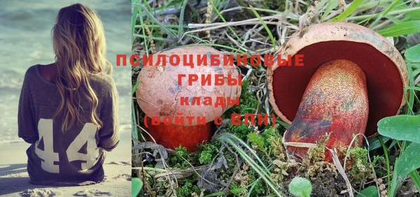 шишки Абинск