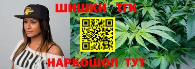 индика Рузаевка