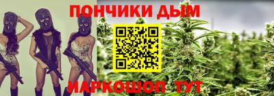 индика Рузаевка